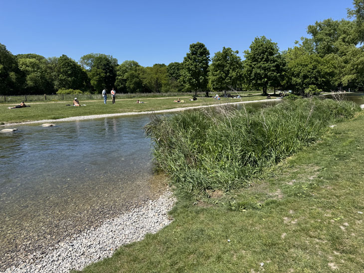 Auch die Ufer des Eisbaches wurden im Englischen Gartens renaturiert (©Foto: Martin Schmitz) 